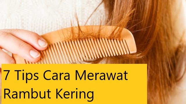 7 Tips Cara Merawat Rambut Kering