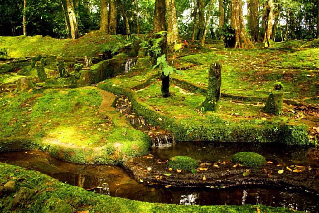 elmanantialrestaurant menu, ulasan elmanantialrestaurant, keunikan elmanantialrestaurant, kuliner elmanantialrestaurant, rekomendasi elmanantialrestaurant